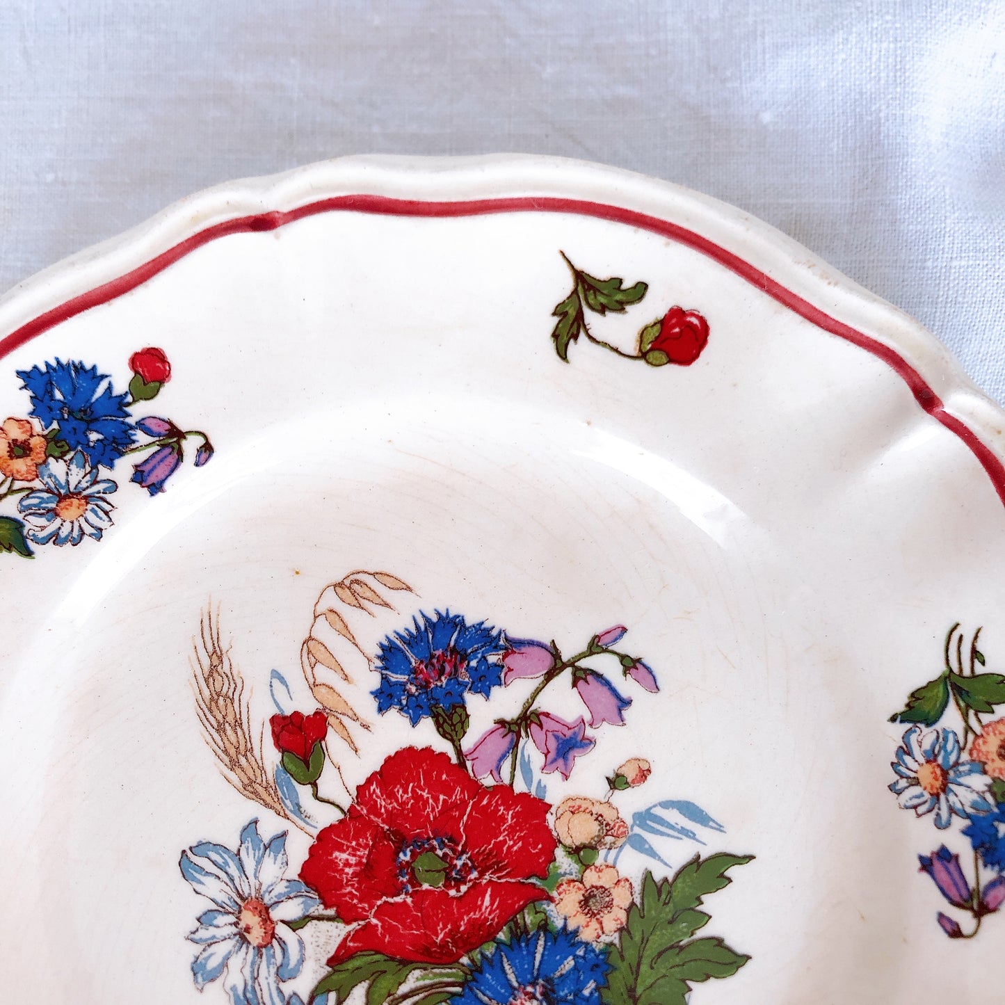 サルグミンヌ sarreguemines アグレスト 平皿 16cm H フランスアンティーク食器 フランス蚤の市・ブロカント