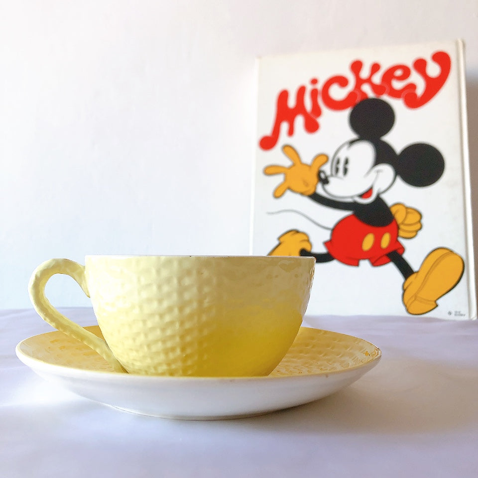 ディゴワンサルグミンヌ ショコラカップアンドソーサー レモンカラー フランスアンティーク食器 ブロカントアンティーク 蚤の市