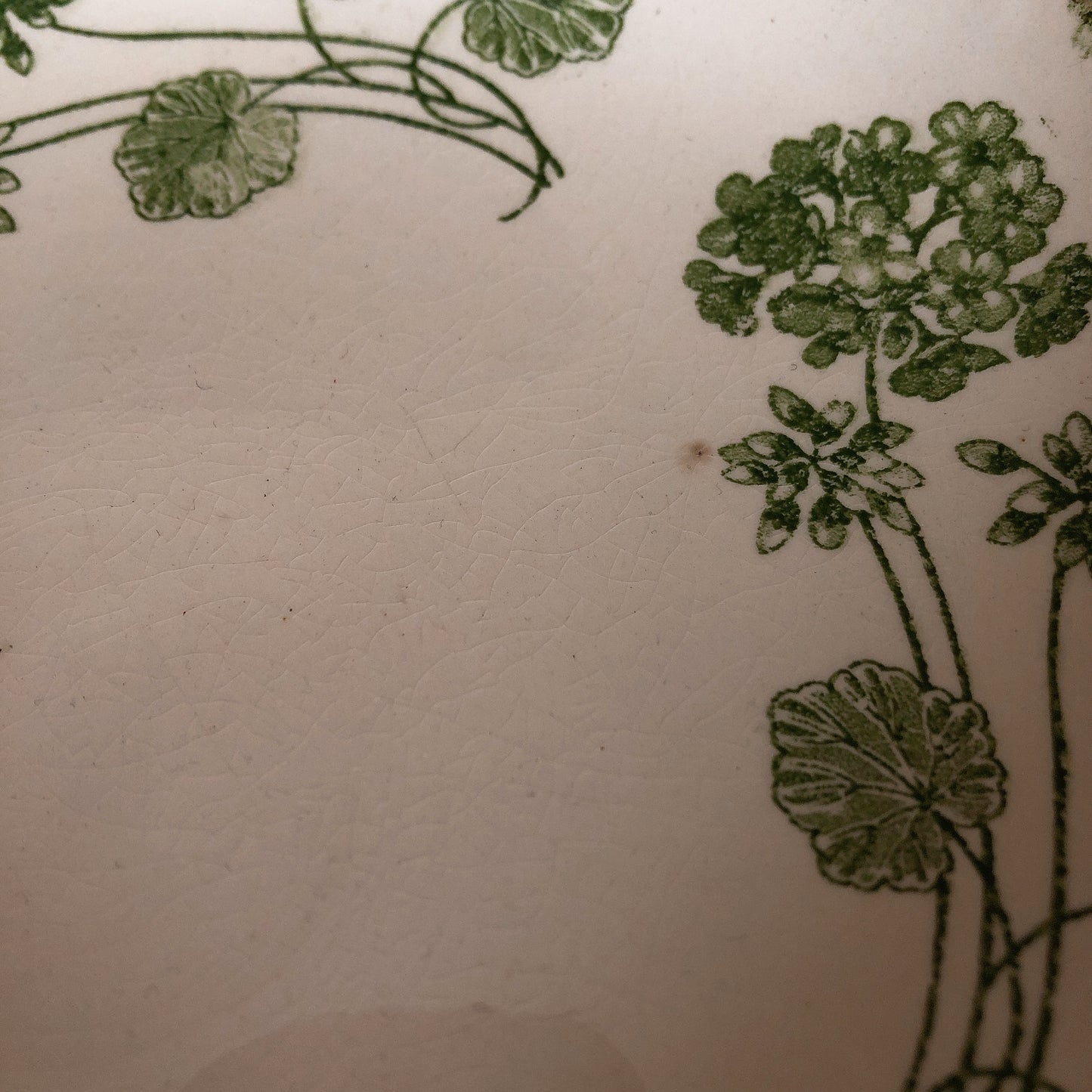 U&Cサルグミンヌ ”GERANIUM” ゼラニウム コンポ―ト皿/コンポティエ フランスアンティーク食器 ブロカント 蚤の市