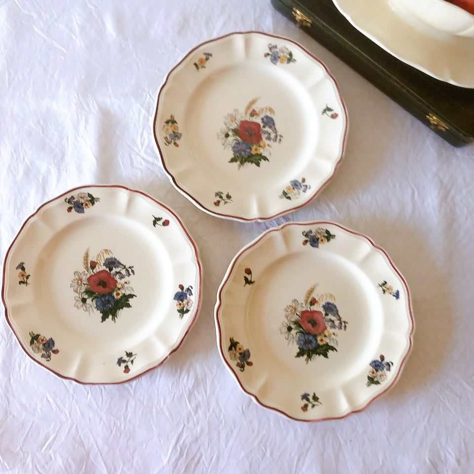 フランス サルグミンヌ sarreguemines アグレスト ディナープレート 23.3㎝ フランスアンティーク食器 フランス蚤の市・ブロカント