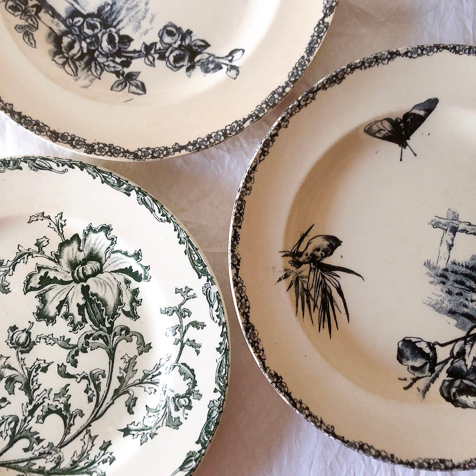 ヴィエイヤーボルドー ディナープレート/平皿 DATURA ボタニカル模様 フランスアンティーク食器 ブロカントアンティーク 蚤の市