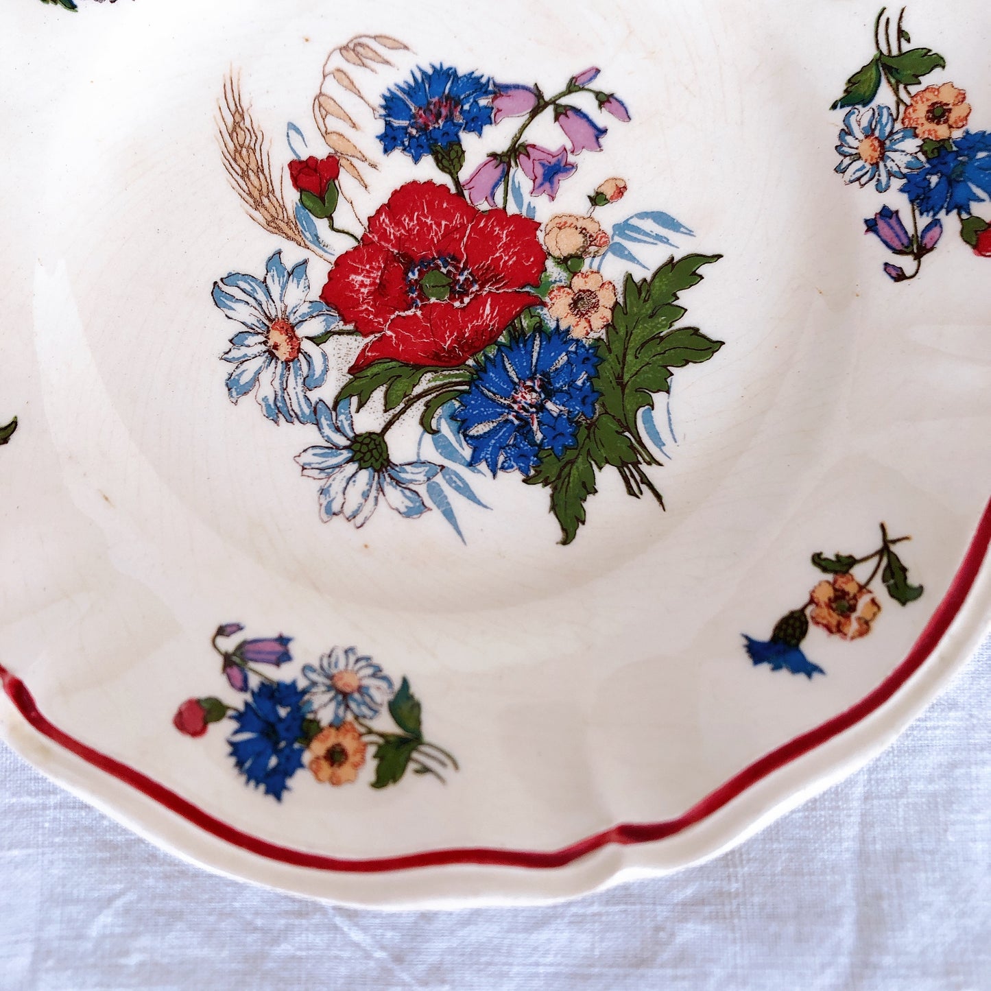 サルグミンヌ sarreguemines アグレスト 平皿 16cm H フランスアンティーク食器 フランス蚤の市・ブロカント