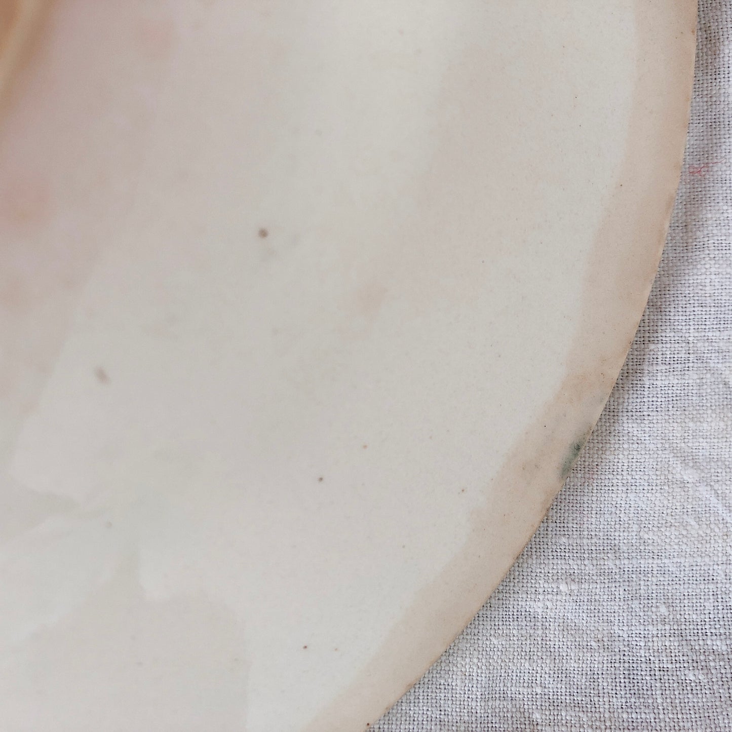 フランスアンティークプレート GIEN ジアン プロヴァンサル 鳥柄 スーププレート ジアンブルー アンティーク食器・皿 ブロカント 蚤の市