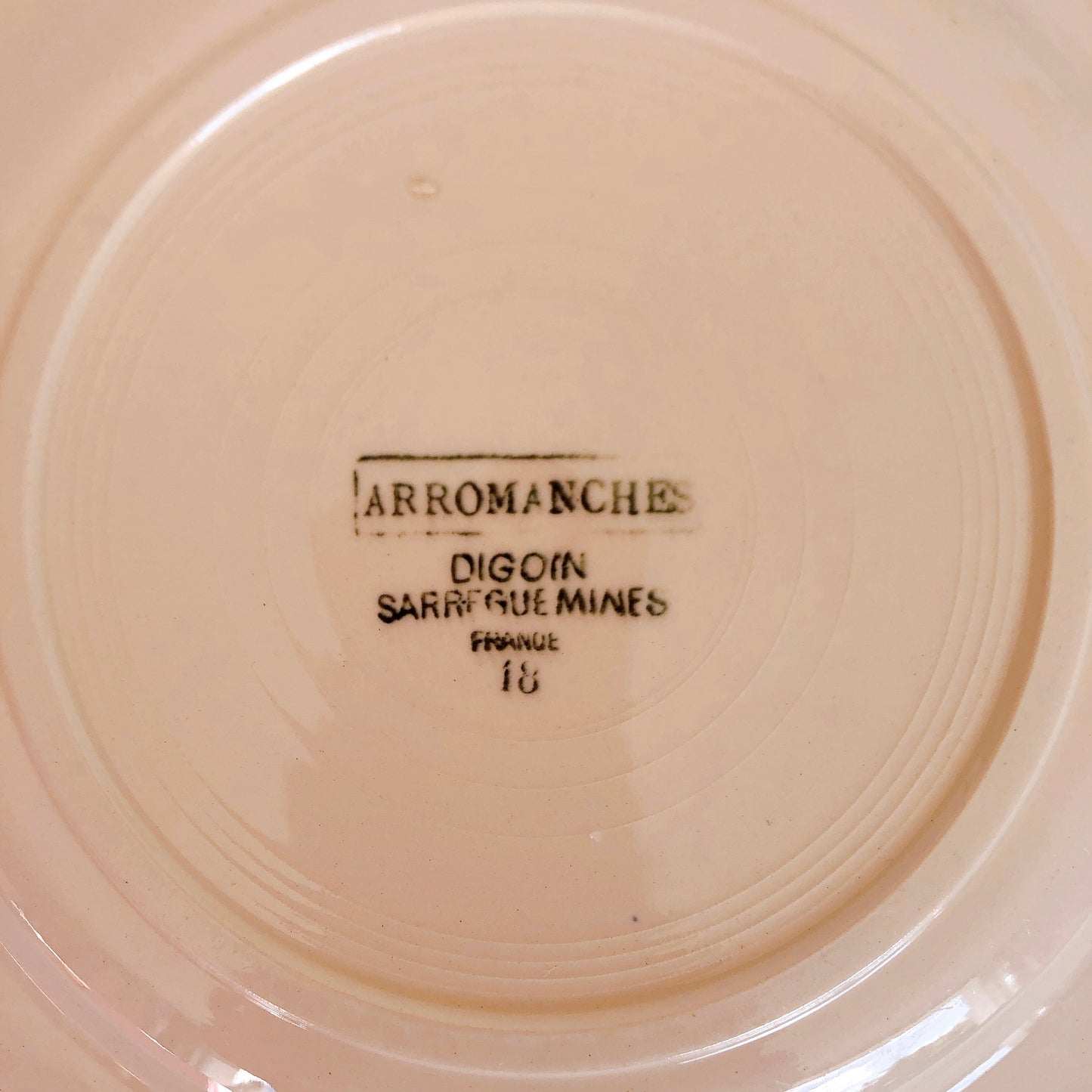 ディゴワンサルグミンヌ 花リム 『ARROMANCHES』 シリーズ ディナープレート 平皿 C フランスアンティーク食器 蚤の市 ブロカント