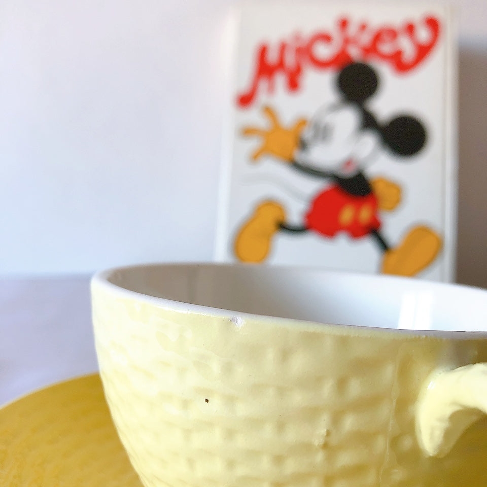 ディゴワンサルグミンヌ ショコラカップアンドソーサー レモンカラー フランスアンティーク食器 ブロカントアンティーク 蚤の市