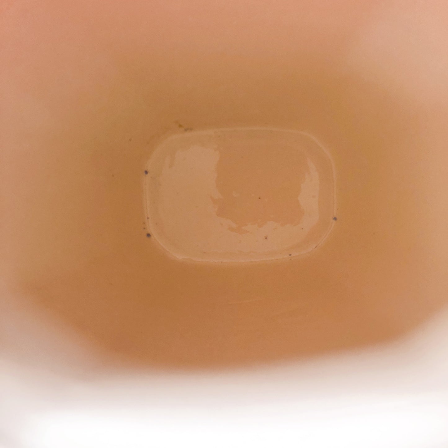 フランスアンティーク ディゴワンサルグミンヌ 陶器キャニスター 5点セット フランスアンティーク食器 ブロカント 蚤の市