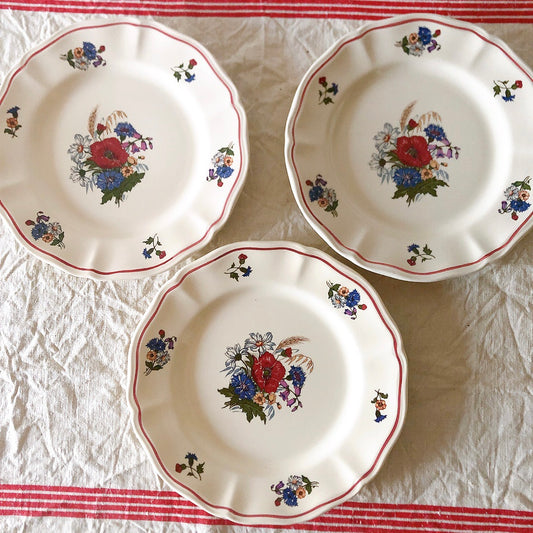 ご予約お纏め21点 サルグミンヌ sarreguemines アグレスト プレート 21㎝ 3枚セット フランスアンティーク食器 フランス蚤の市・ブロカント