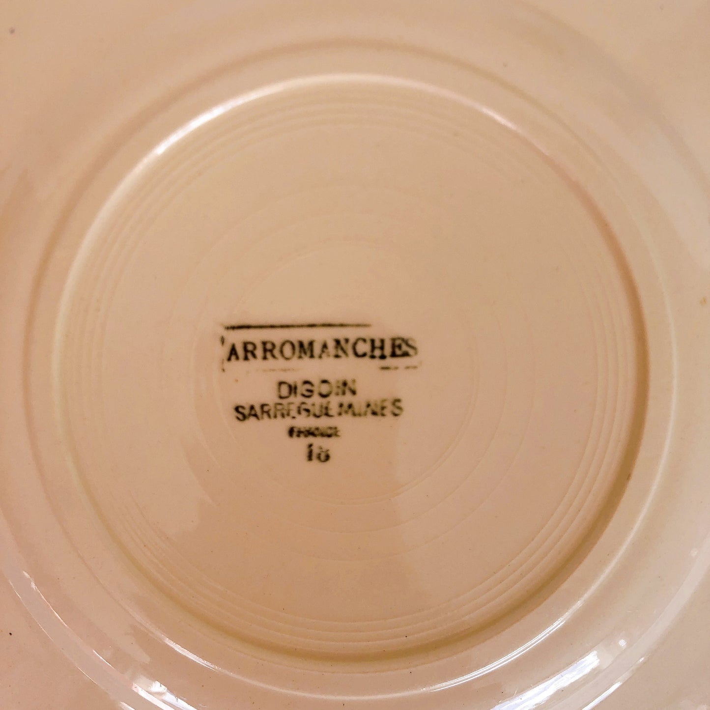 ディゴワンサルグミンヌ 花リム 『ARROMANCHES』 シリーズ ディナープレート 平皿 F フランスアンティーク食器 蚤の市 ブロカント