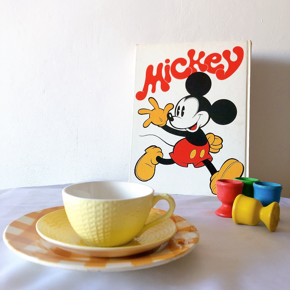 ディゴワンサルグミンヌ ショコラカップアンドソーサー レモンカラー フランスアンティーク食器 ブロカントアンティーク 蚤の市