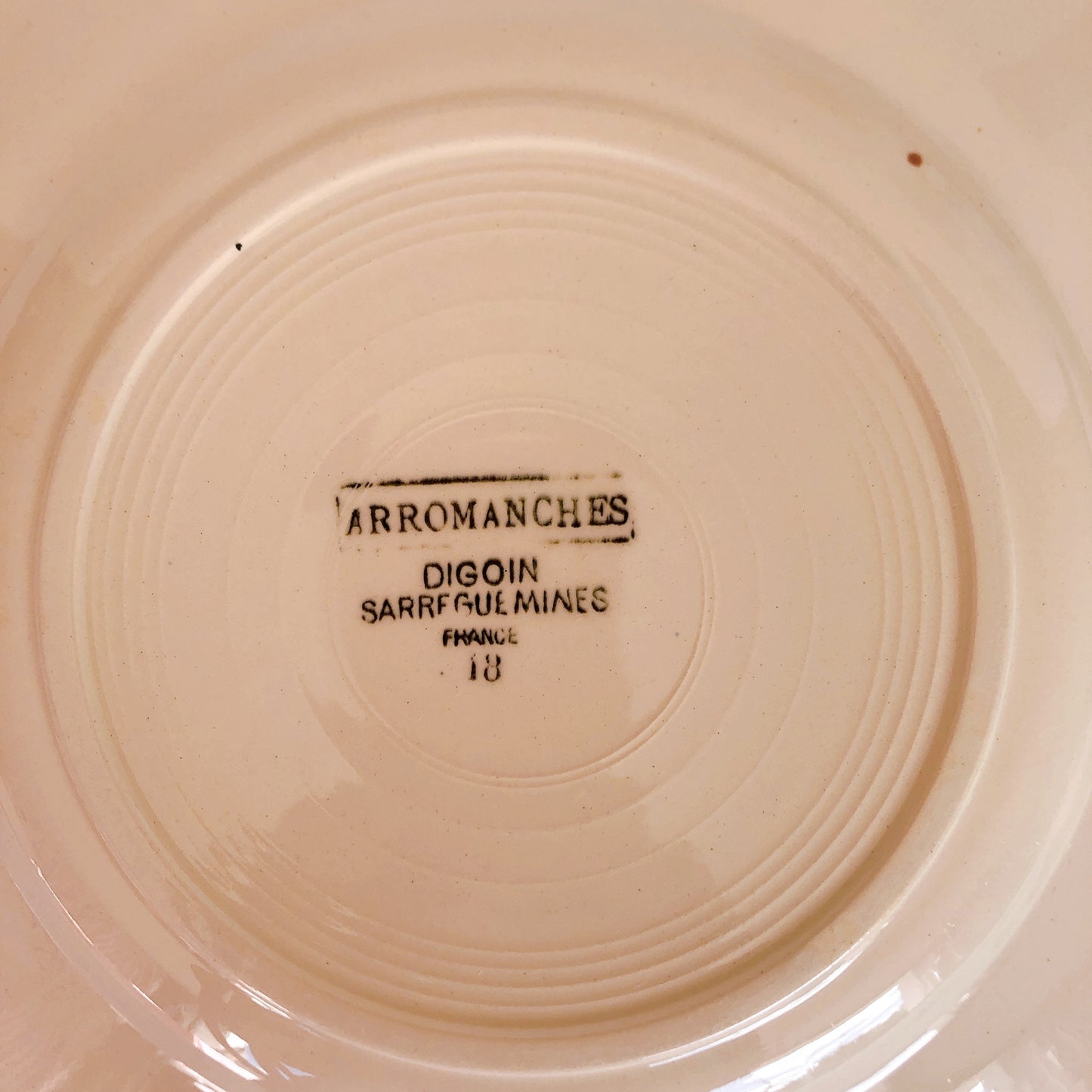 ディゴワンサルグミンヌ 花リム 『ARROMANCHES』 シリーズ ディナープレート 平皿 D フランスアンティーク食器 蚤の市 ブロカント