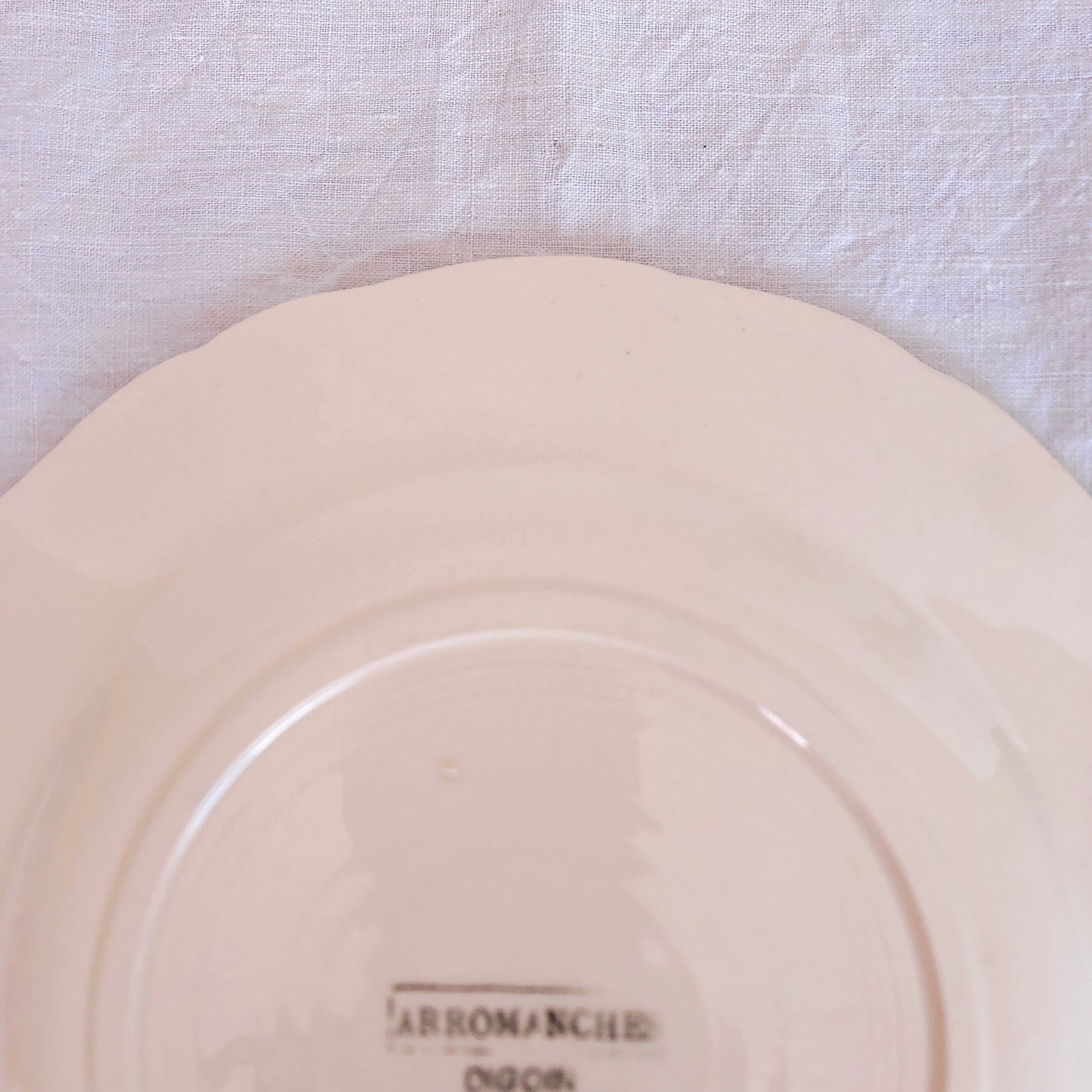 ディゴワンサルグミンヌ 花リム 『ARROMANCHES』 シリーズ ディナープレート 平皿 C フランスアンティーク食器 蚤の市 ブロカント