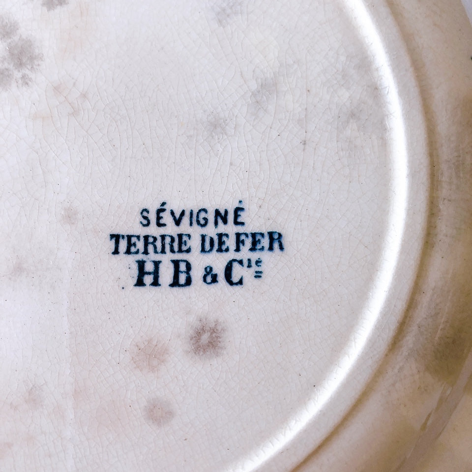 ショワジー・ル・ロワ ディナープレート『SEVIGNE/セヴィネ』 B フランスアンティーク食器 ブロカントアンティーク 蚤の市