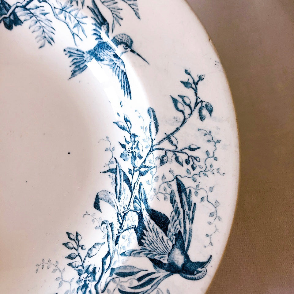 リュネヴィル "COLIBRI"シリーズ 鳥柄 クルーズプレート 深皿 フランスアンティーク食器 蚤の市 ブロカントアンティーク