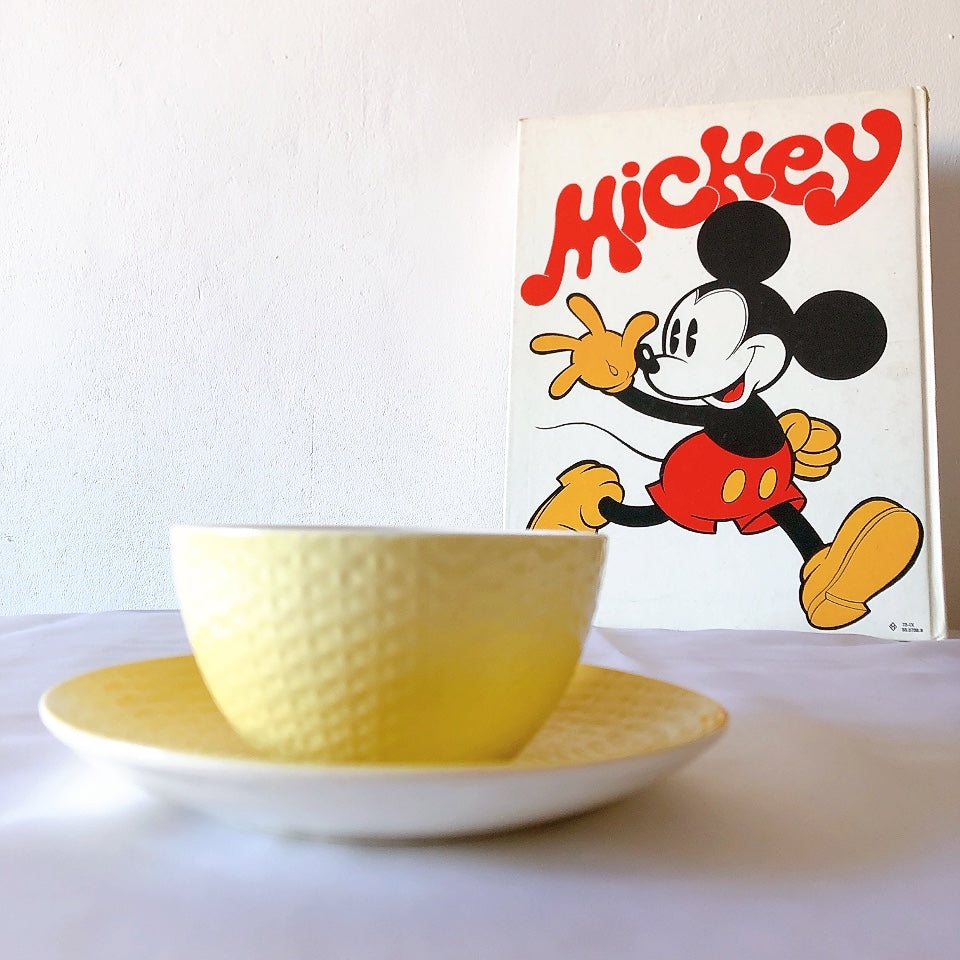 ディゴワンサルグミンヌ ショコラカップアンドソーサー レモンカラー フランスアンティーク食器 ブロカントアンティーク 蚤の市