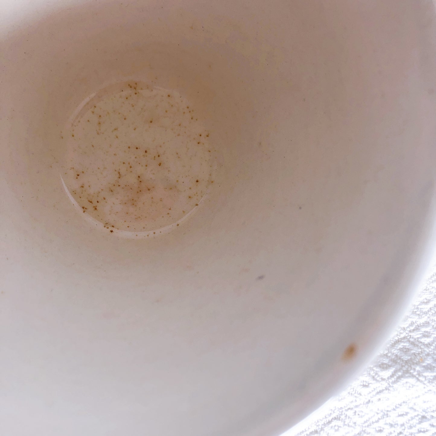 バドンヴィレー バスク柄 カップ「ボルドー・ダークブルー」B フランスアンティーク・食器・皿・プレート ブロカント