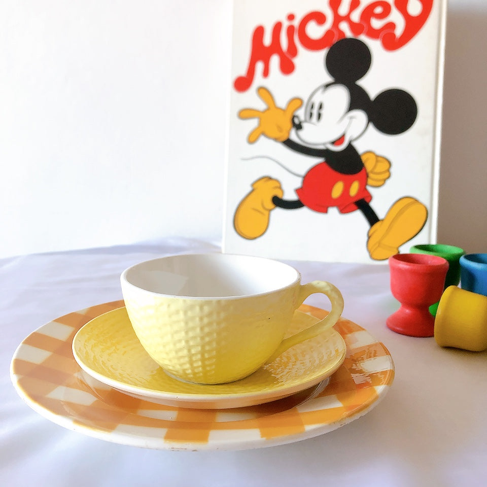 ディゴワンサルグミンヌ ショコラカップアンドソーサー レモンカラー フランスアンティーク食器 ブロカントアンティーク 蚤の市