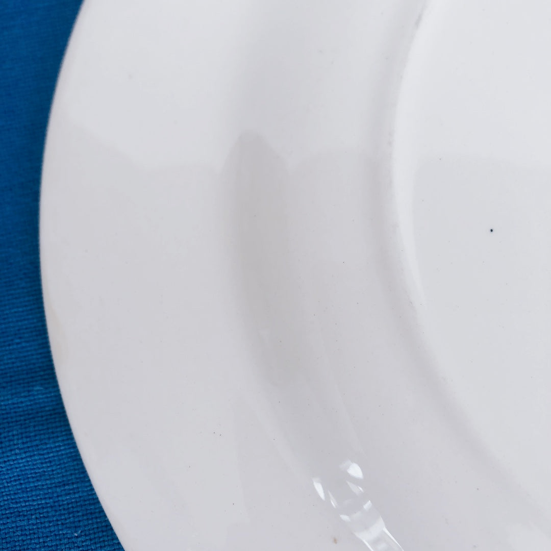 ご予約 ディゴワンサルグミンヌ Digoin&sarregumines 平皿 ブルー/水色 フランスアンティーク/ビンテージ食器 ブロカント 蚤の市