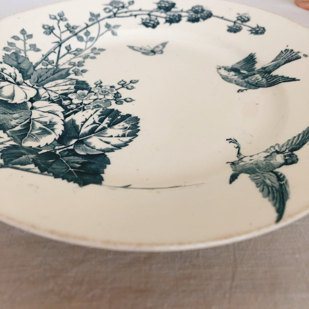 フランスアンティーク K&G Luneville リュネヴィル 『RONCE』木苺&鳥 A フランスアンティーク食器 ブロカント 蚤の市