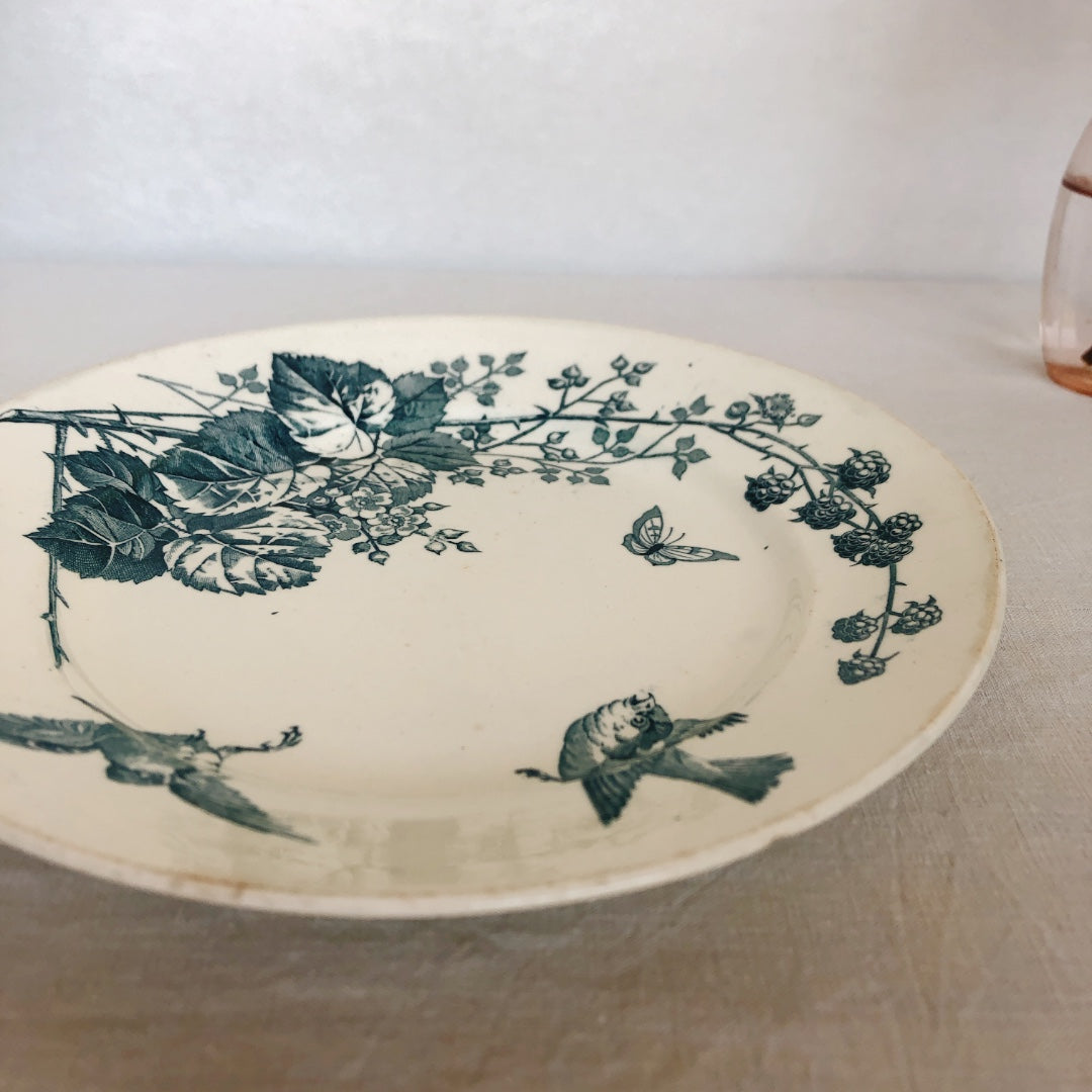 フランスアンティーク K&G Luneville リュネヴィル 『RONCE/ロンス』木苺&鳥 Bフランスアンティーク食器 ブロカント 蚤の市