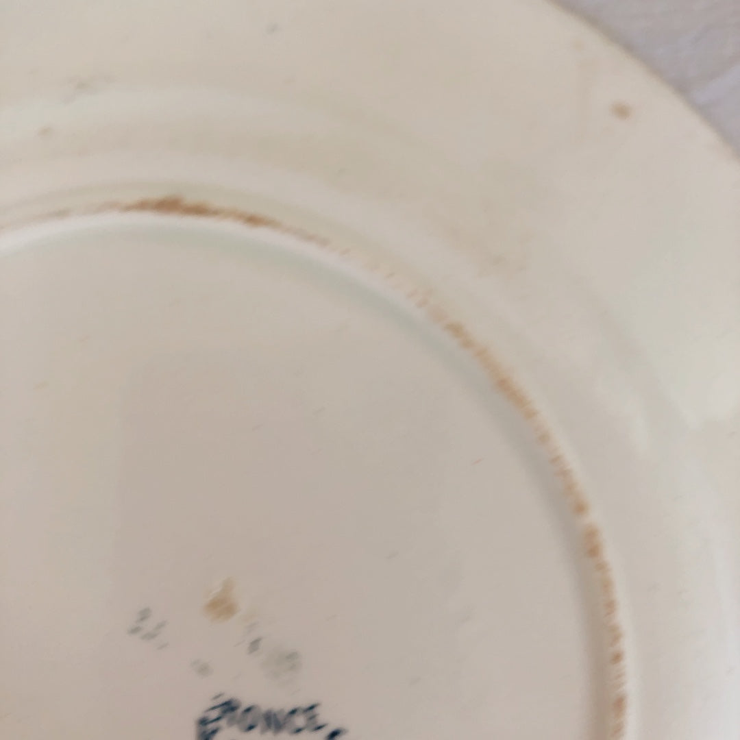 フランスアンティーク K&G Luneville リュネヴィル 『RONCE』木苺&鳥 A フランスアンティーク食器 ブロカント 蚤の市