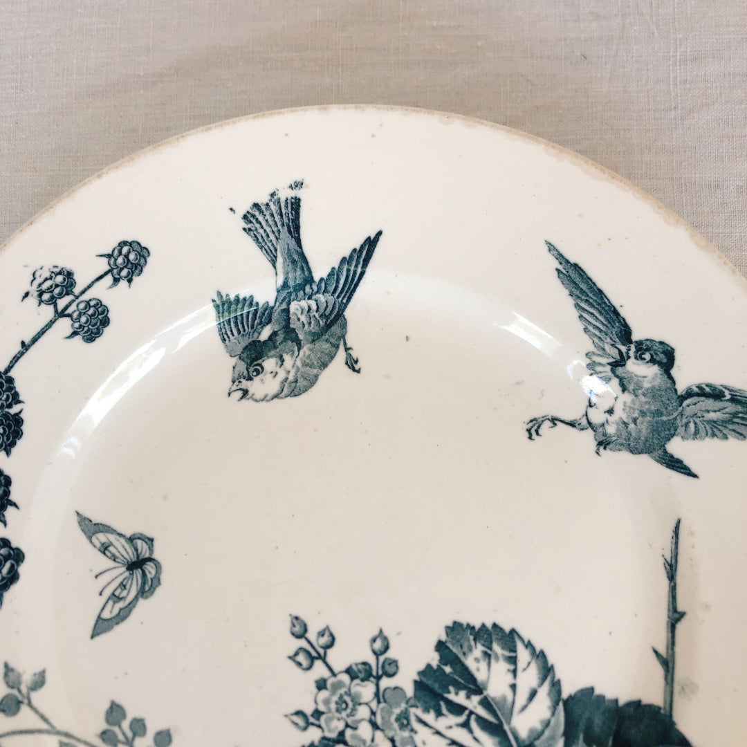 フランスアンティーク K&G Luneville リュネヴィル 『RONCE』木苺&鳥 A フランスアンティーク食器 ブロカント 蚤の市
