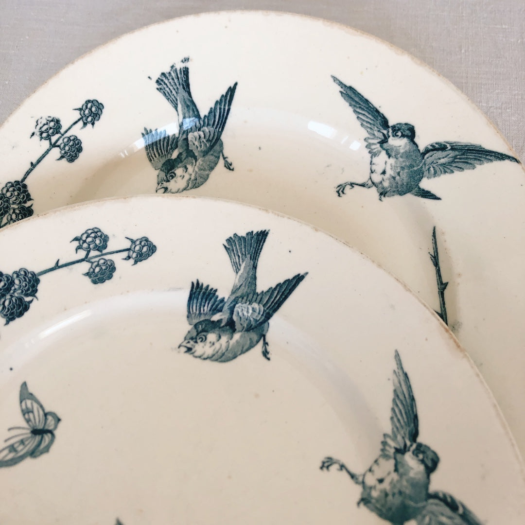 フランスアンティーク K&G Luneville リュネヴィル 『RONCE』木苺&鳥 A フランスアンティーク食器 ブロカント 蚤の市