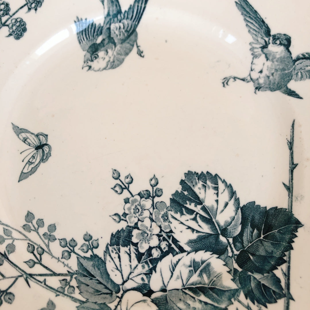フランスアンティーク K&G Luneville リュネヴィル 『RONCE』木苺&鳥 A フランスアンティーク食器 ブロカント 蚤の市