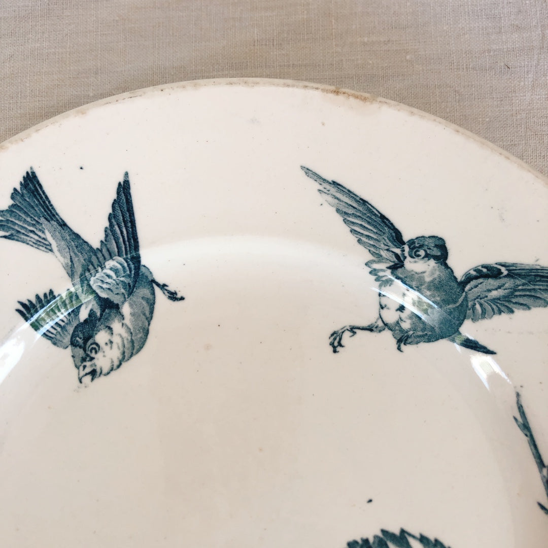 フランスアンティーク K&G Luneville リュネヴィル 『RONCE/ロンス』木苺&鳥 Bフランスアンティーク食器 ブロカント 蚤の市