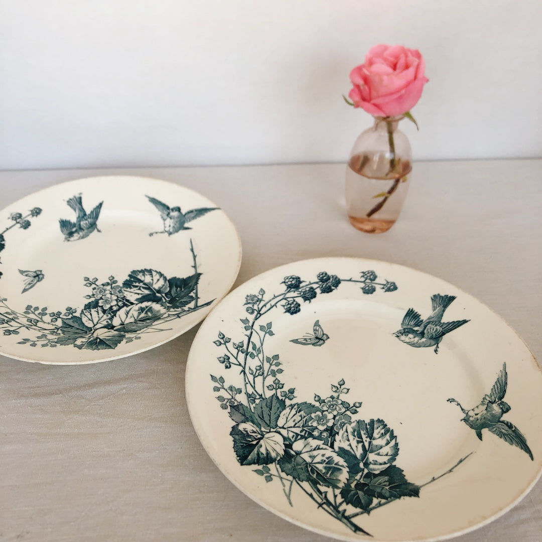 フランスアンティーク K&G Luneville リュネヴィル 『RONCE/ロンス』木苺&鳥 Bフランスアンティーク食器 ブロカント 蚤の市