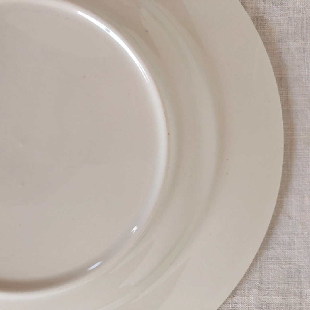 ディゴワンサルグミンヌ 『BASQUE』バスク柄 プレート ・平皿『レッド・ブルー』D フランスアンティーク食器 フランス蚤の市・ブロカント バスク柄ディナープレート