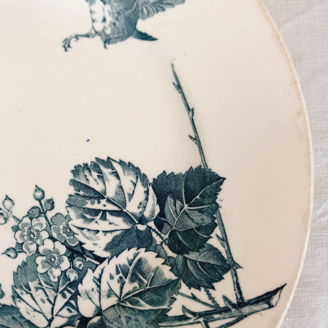 フランスアンティーク K&G Luneville リュネヴィル 『RONCE/ロンス』木苺&鳥 Bフランスアンティーク食器 ブロカント 蚤の市