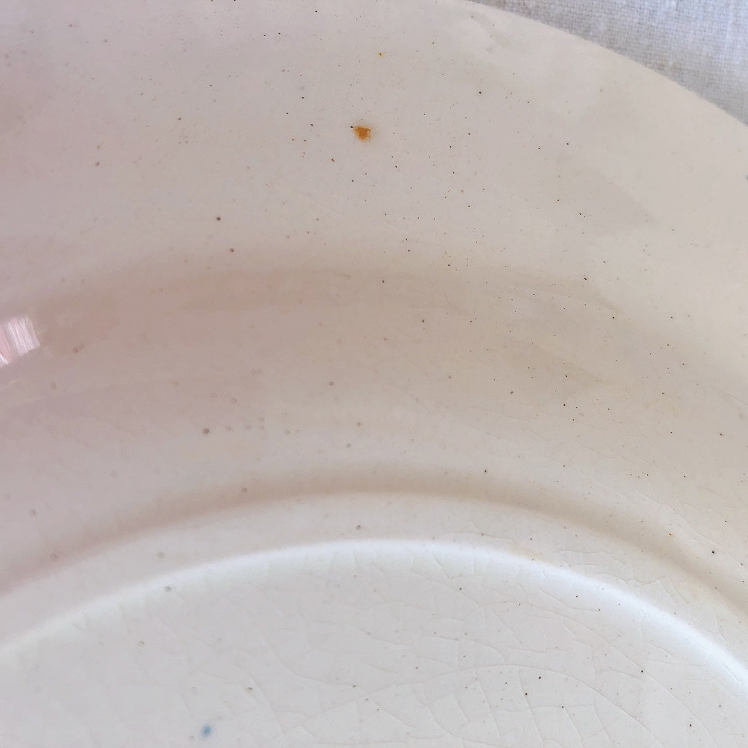 ショワジー・ル・ロワ アンティークプレート 小鳥とワイルドローズ 平皿 19.5cm A フランスアンティーク食器・プレート フランス直送アンティーク