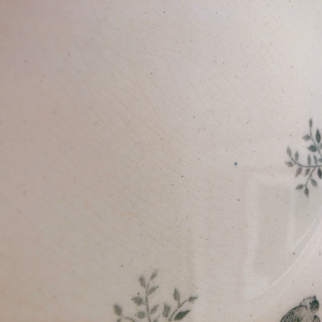ショワジー・ル・ロワ アンティークプレート 小鳥とワイルドローズ 平皿 19.5cm A フランスアンティーク食器・プレート フランス直送アンティーク
