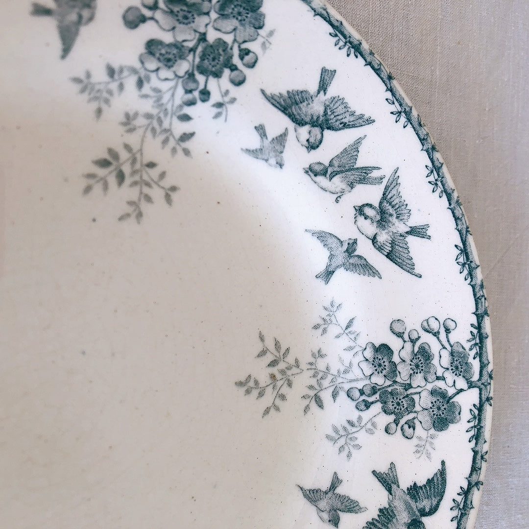 ショワジー・ル・ロワ アンティークプレート 小鳥とワイルドローズ 平皿 19.5cm C フランスアンティーク食器・プレート フランス直送アンティーク