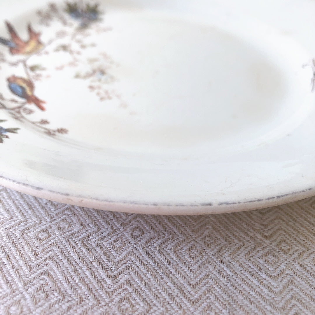 ディゴワンサルグミンヌ Digoin&sarreguemines 鳥&超モチーフプレート・平皿 ブルー フランスアンティーク食器 フランス蚤の市・ブロカント