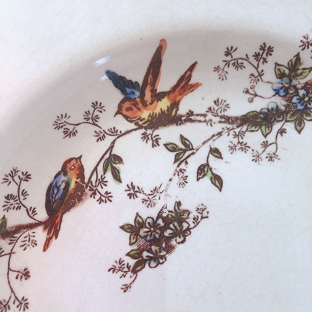 ディゴワンサルグミンヌ Digoin&sarreguemines 鳥&超モチーフプレート・深皿 オレンジ フランスアンティーク食器 フランス蚤の市・ブロカント