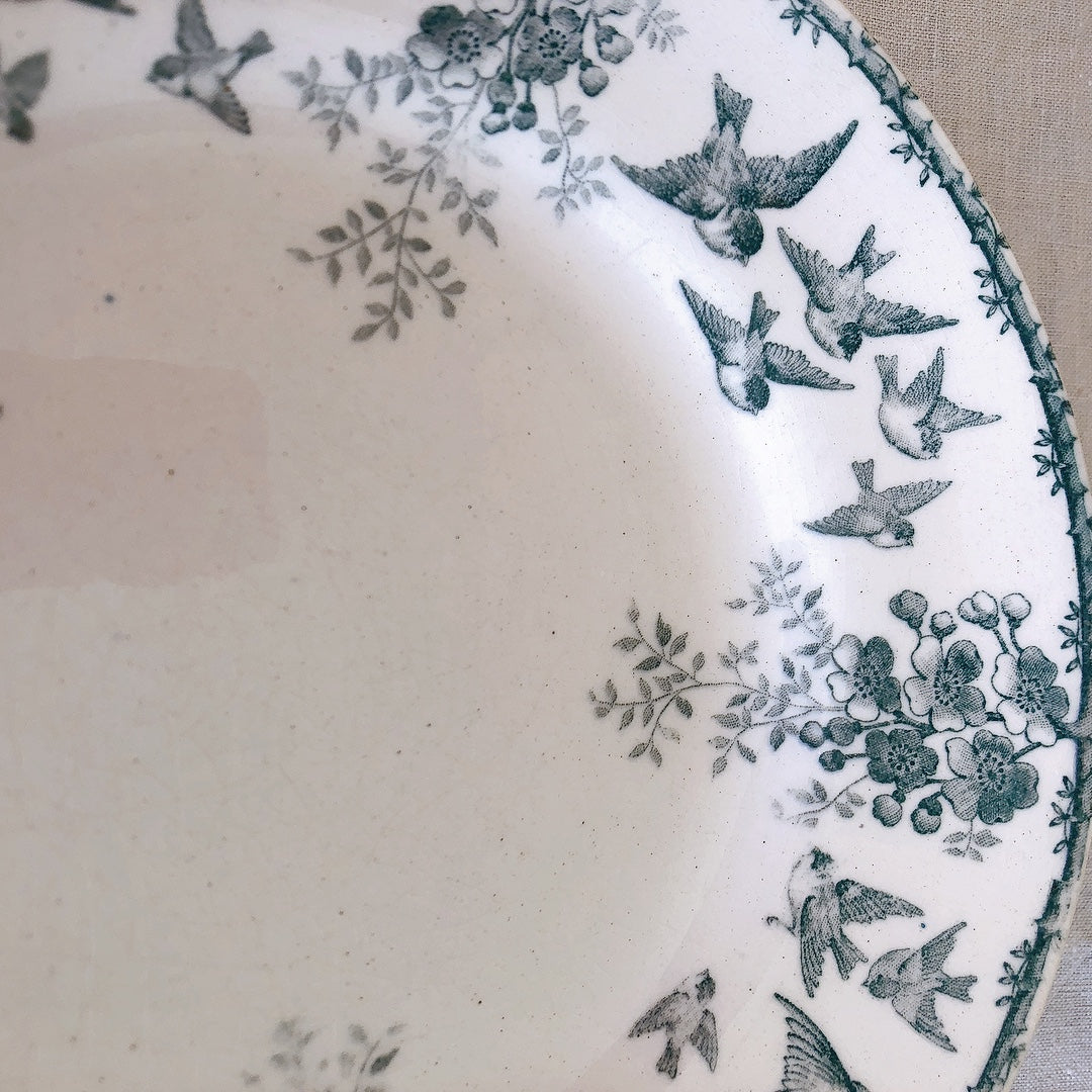 ショワジー・ル・ロワ アンティークプレート 平皿 小鳥とワイルドローズ 19.5cm D フランスアンティーク食器・プレート フランス直送アンティーク