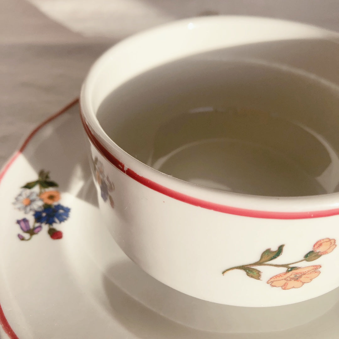 ご予約 ディゴワンサルグミンヌ Digoin&sarreguemines アグレスト カップ&ソーサー フランスアンティーク食器 フランス蚤の市・ブロカント