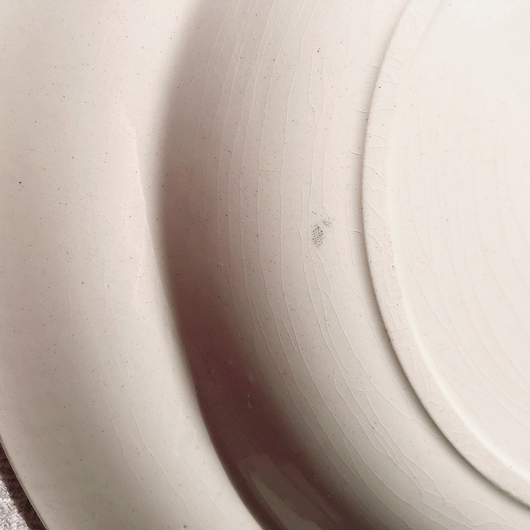 ショワジー・ル・ロワ アンティークプレート 小鳥とワイルドローズ 深皿 23cm D フランスアンティーク食器・プレート フランス直送アンティーク