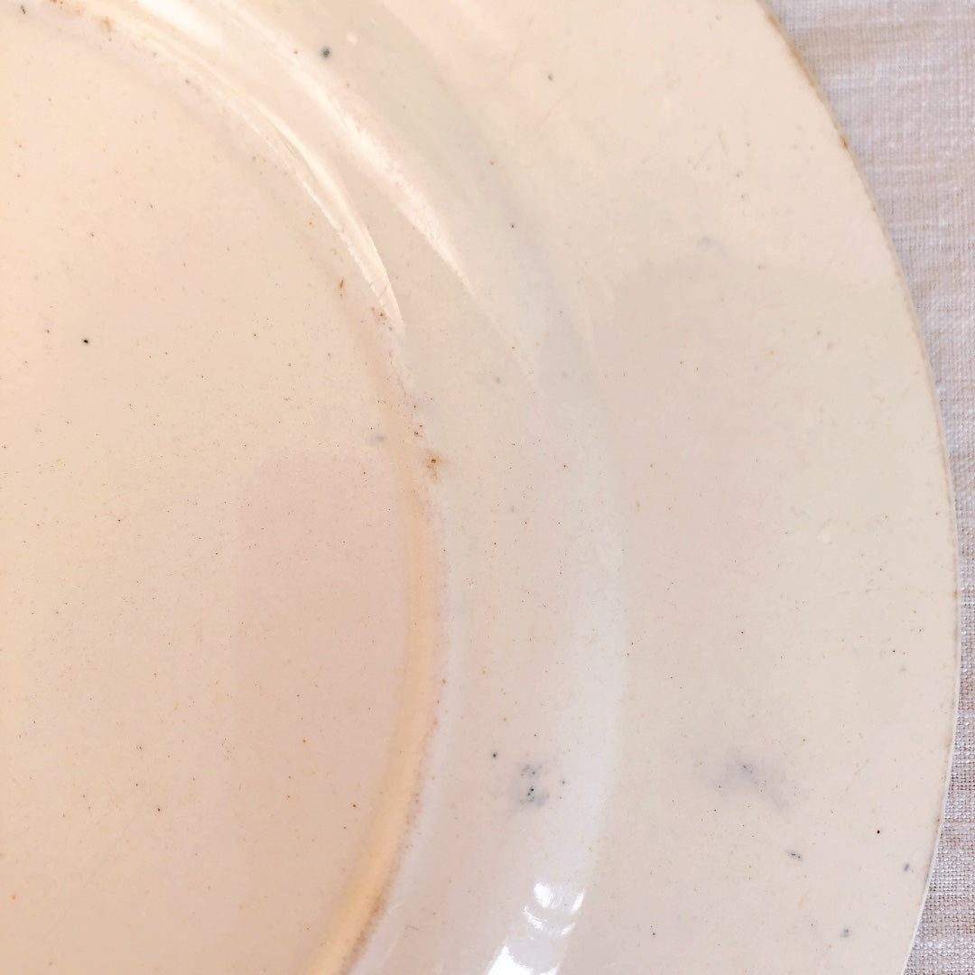 SALINS サラン 『FONTENOY』ディナープレート B フランスアンティーク食器 ブロカント 蚤の市