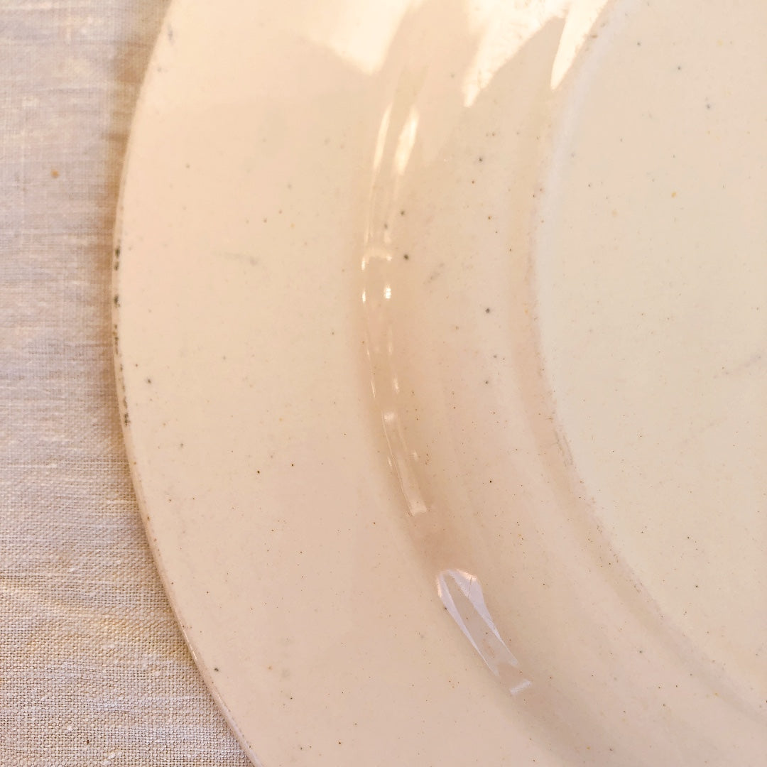 SALINS サラン 『FONTENOY』ディナープレート C フランスアンティーク食器 ブロカント 蚤の市