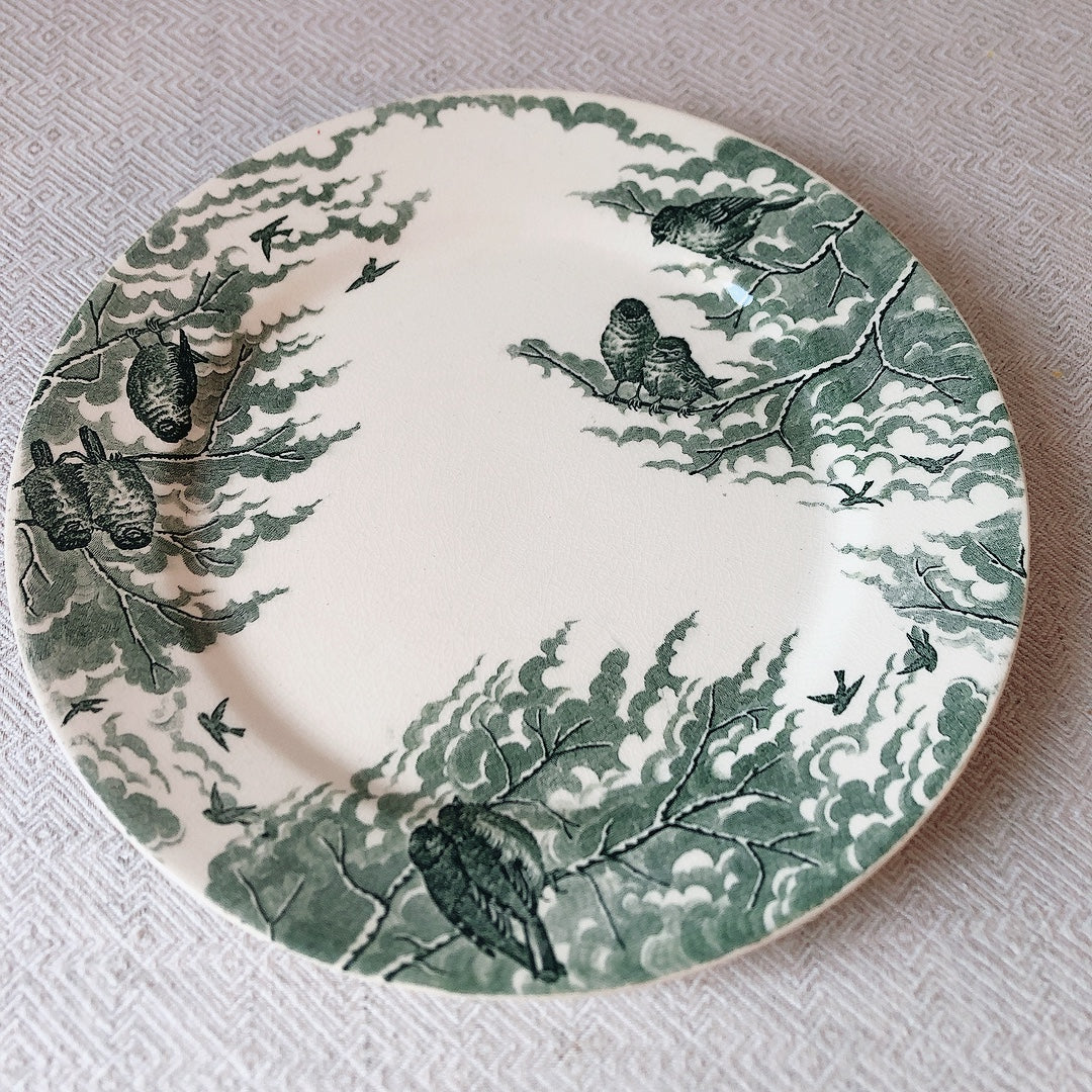 フランスアンティーク U&C sarreguemines サルグミンヌ 平皿 ”NEIGE”小鳥 B ランスアンティーク食器 ブロカント 蚤の市