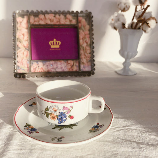 ご予約 ディゴワンサルグミンヌ Digoin&sarreguemines アグレスト カップ&ソーサー フランスアンティーク食器 フランス蚤の市・ブロカント