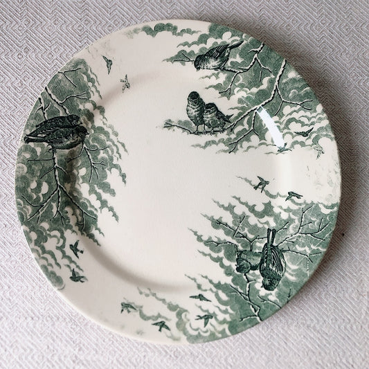 フランスアンティーク U&C sarreguemines サルグミンヌ 平皿 ”NEIGE”小鳥 C ランスアンティーク食器 ブロカント 蚤の市