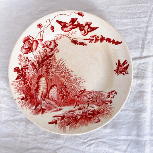 フランス ヴィエイヤーボルドー 『OISEAUX』 赤 ディナープレート B フランスブロカント・蚤の市