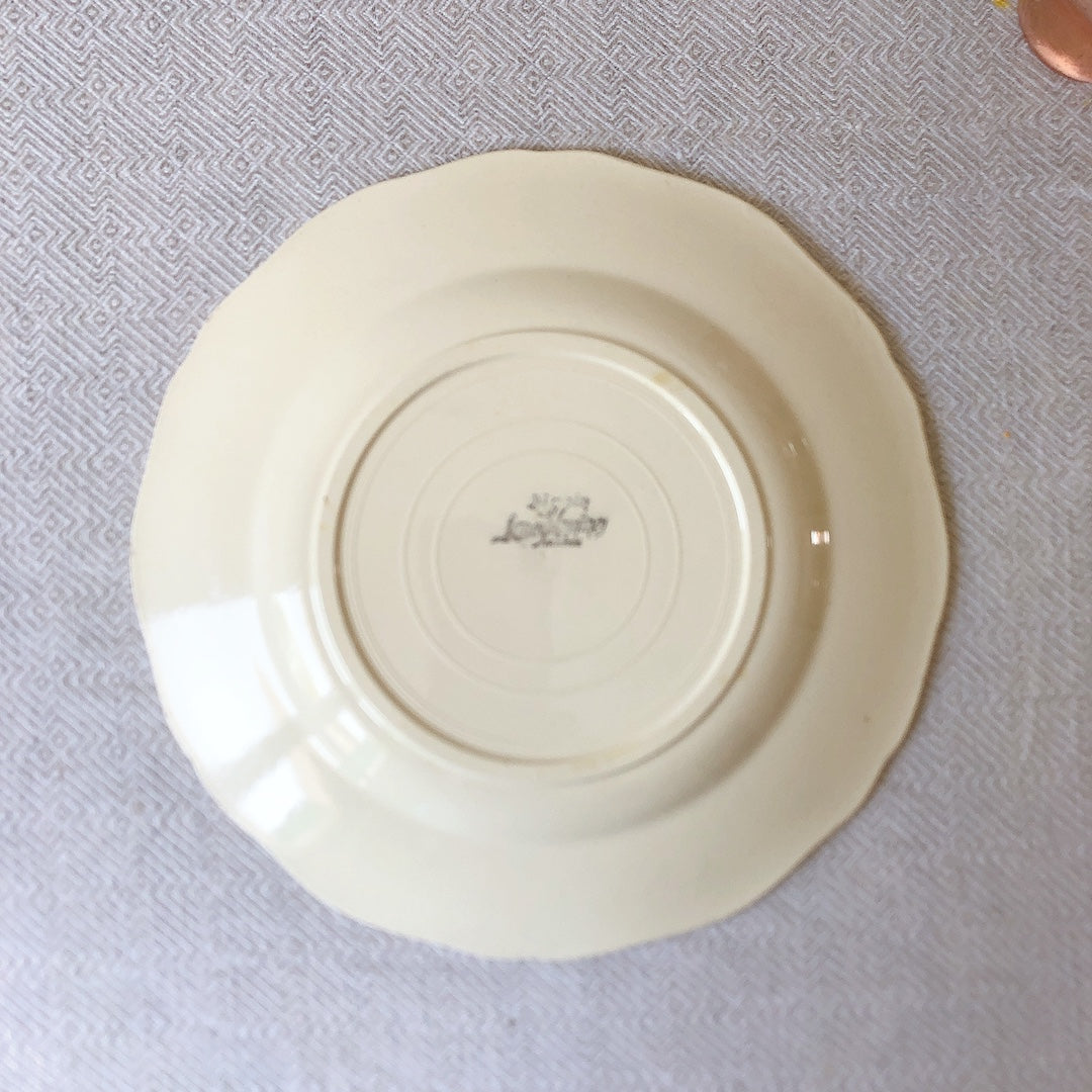 フランス ディゴワン&サルグミンヌ 花リム ディナープレート 平皿 25㎝ d フランスアンティーク食器 ブロカント・蚤の市