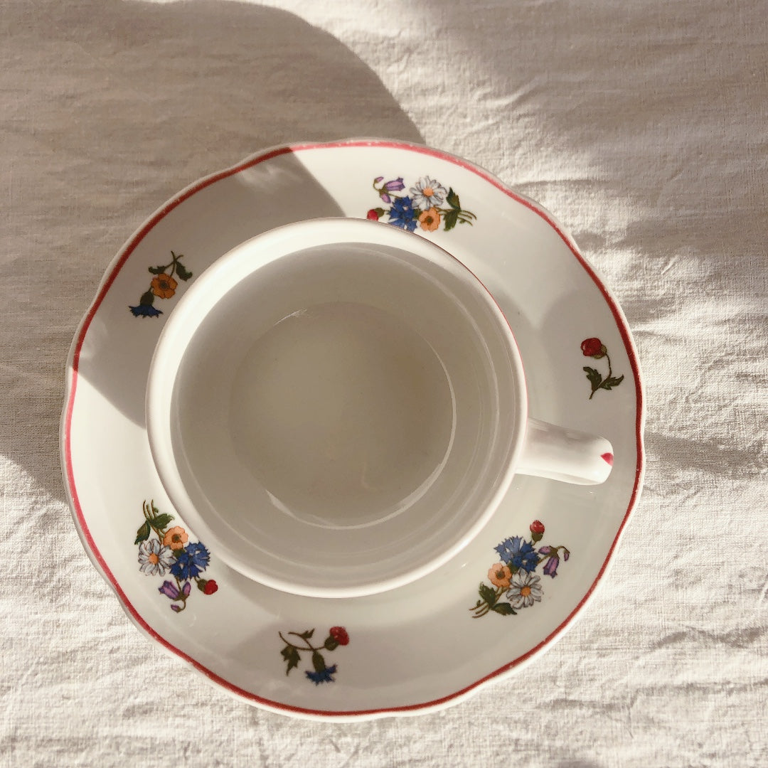 ご予約 ディゴワンサルグミンヌ Digoin&sarreguemines アグレスト カップ&ソーサー フランスアンティーク食器 フランス蚤の市・ブロカント