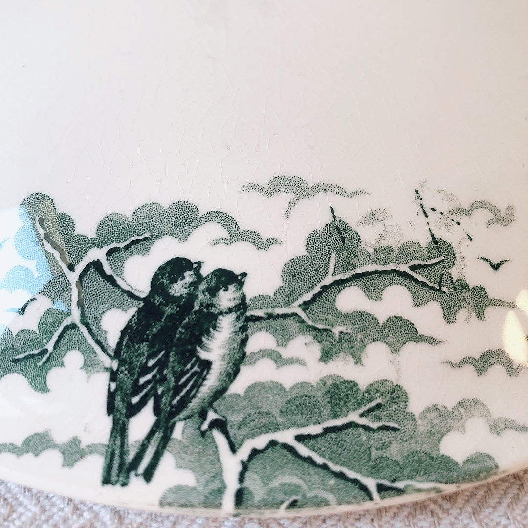 【美品】フランスアンティーク U&C sarreguemines サルグミンヌ スーピエール ”NEIGE”小鳥 フランスアンティーク食器 ブロカント 蚤の市