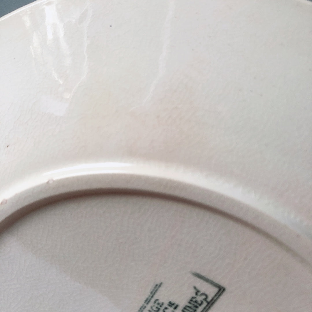 フランスアンティーク U&C sarreguemines サルグミンヌ 平皿 ”NEIGE”小鳥 D ランスアンティーク食器 ブロカント 蚤の市