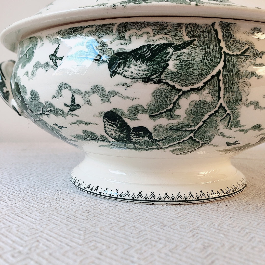 【美品】フランスアンティーク U&C sarreguemines サルグミンヌ スーピエール ”NEIGE”小鳥 フランスアンティーク食器 ブロカント 蚤の市
